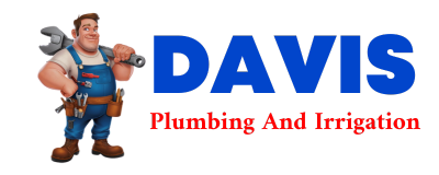 Trusted plumber in ROVER